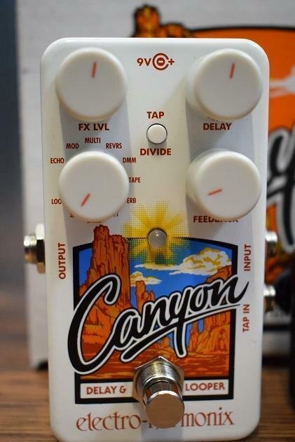 Electro-Harmonix EHX Canyon Delay & Looper Guitar Effect Pedal & AC Adapter