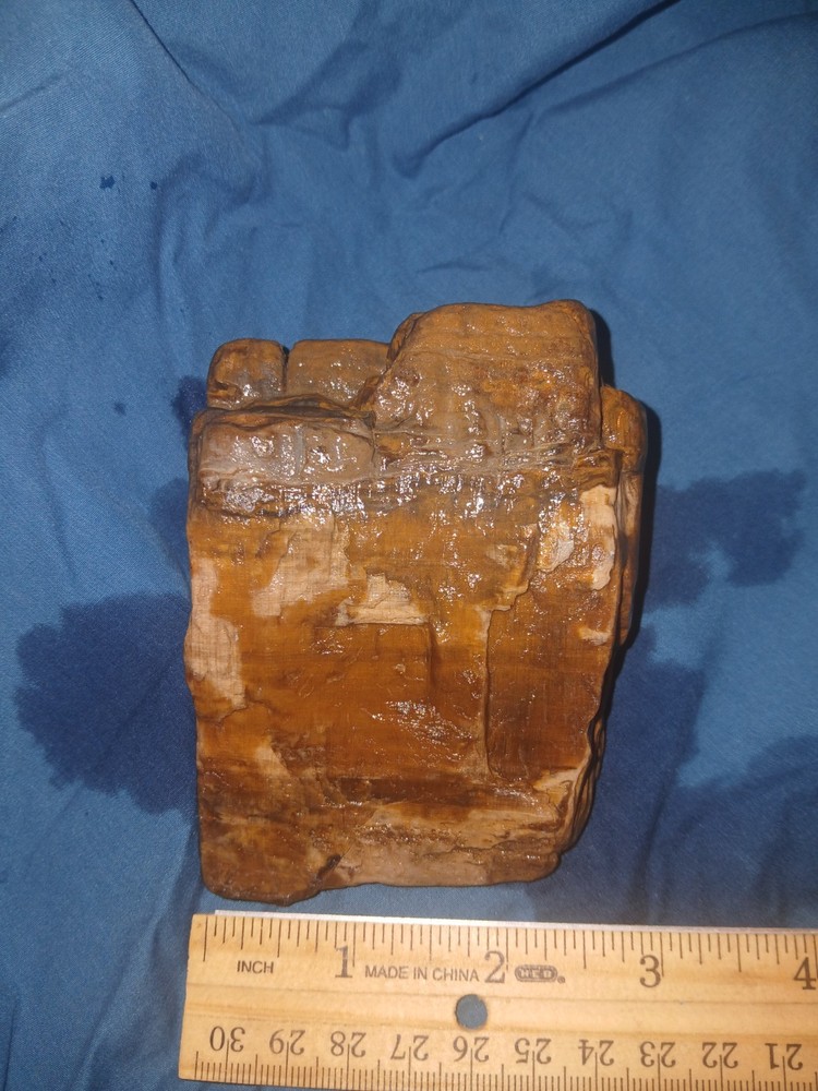 10 oz Petrified Wood