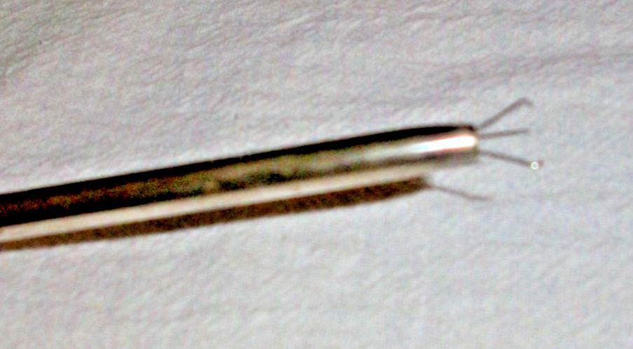 VINTAGE SWEDISH SILVERPLATE 4.25" SUGAR CUBE OR OLIVE TONG C.G.HALLBERG SWEDEN