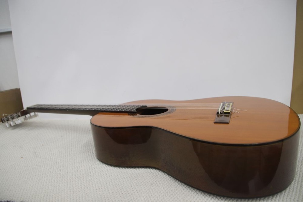 Yamaha CG-120A Classical Guitar Hard Case