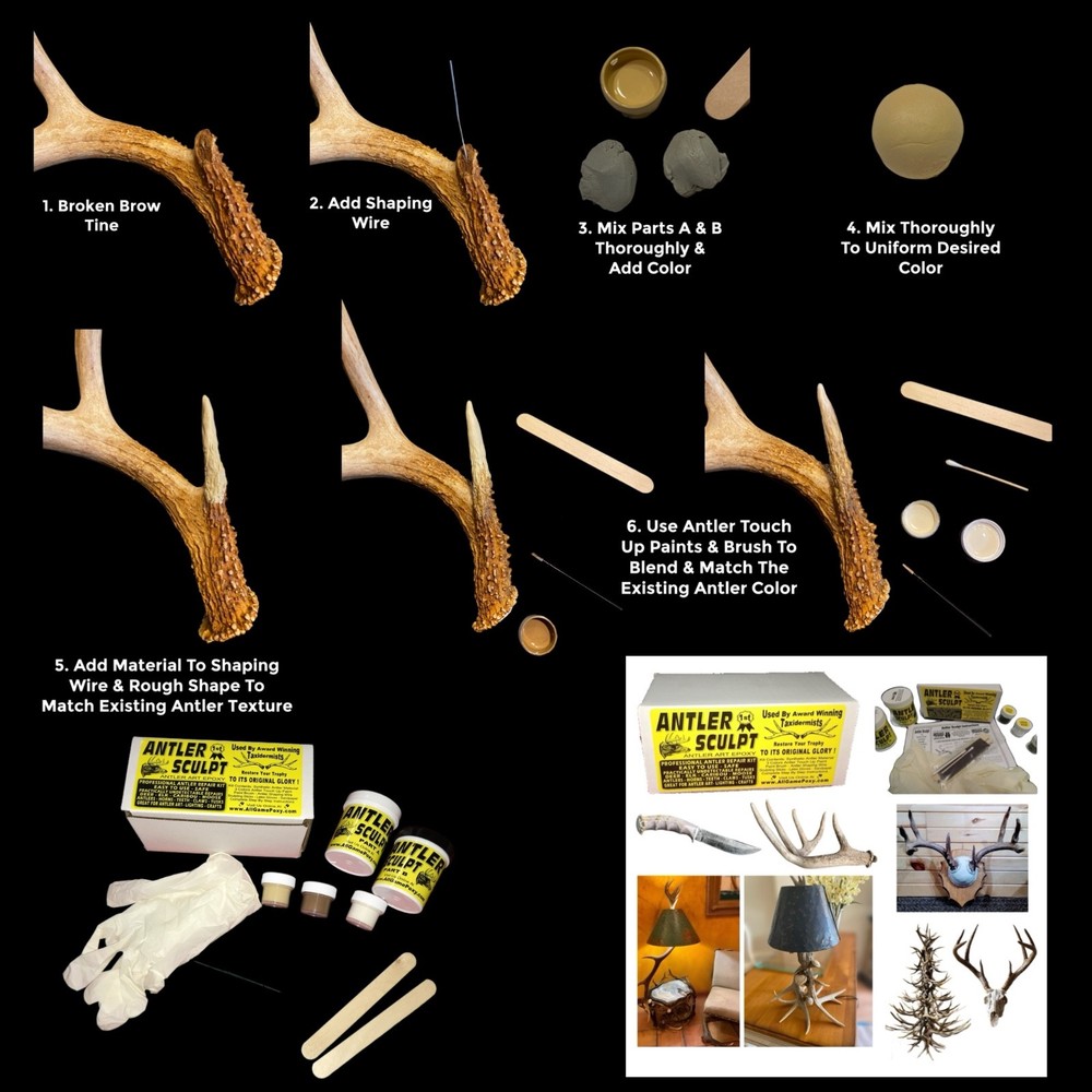 Deer Antler Art Kit - Repair - Replace Missing Tines & Points Create Lamps Trees
