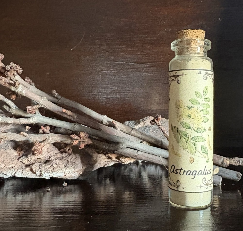 Astragalus Powder, 20 ml. vial