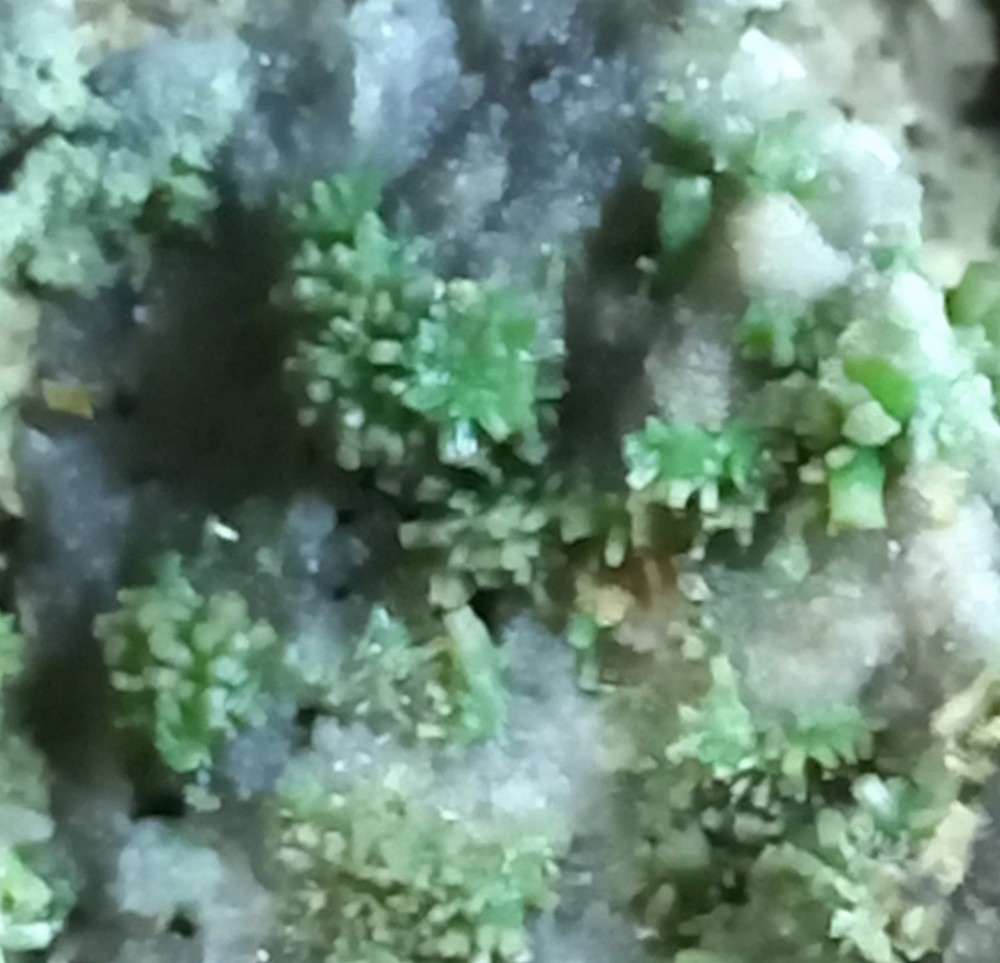 Pyromorphite Sardinia