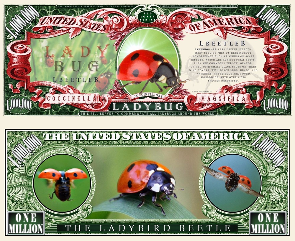 OUR LADY BUG DOLLAR BILL (2 Bills)