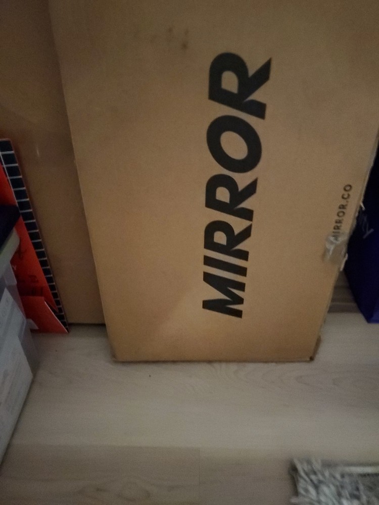 The Mirror Home Work Out System