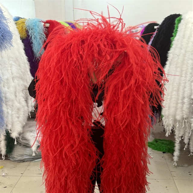 Deluxe 2M Ostrich Feather Boa Shawl 6 Layers Dance Performance Accessory Chic