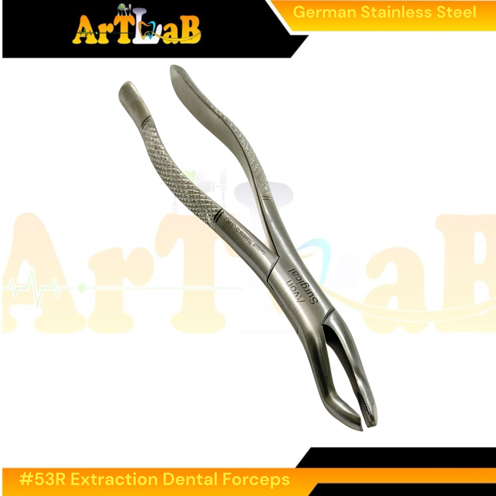 Right Upper First & Second Molar Extraction Forceps #53R, Serrated, 1pc