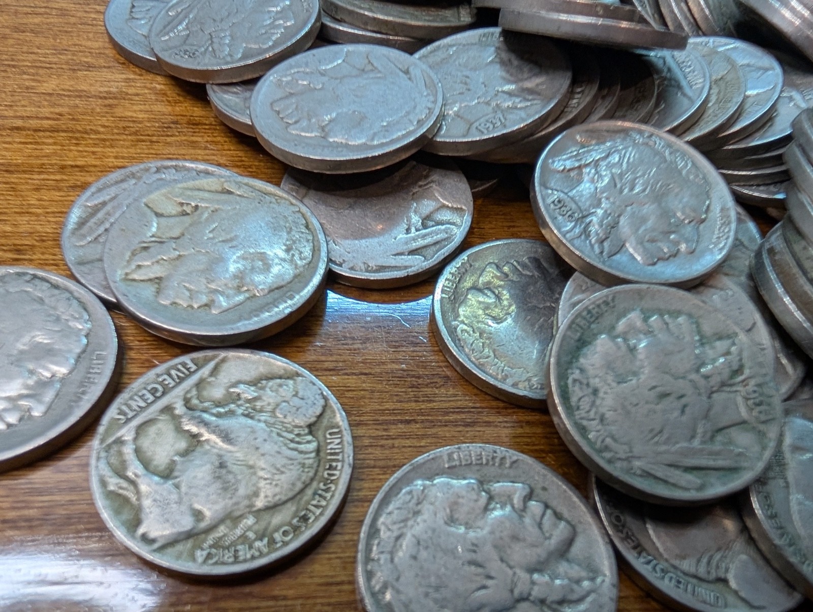 100 Buffalo Nickels - WITH DATES - Common US Nickel Coins