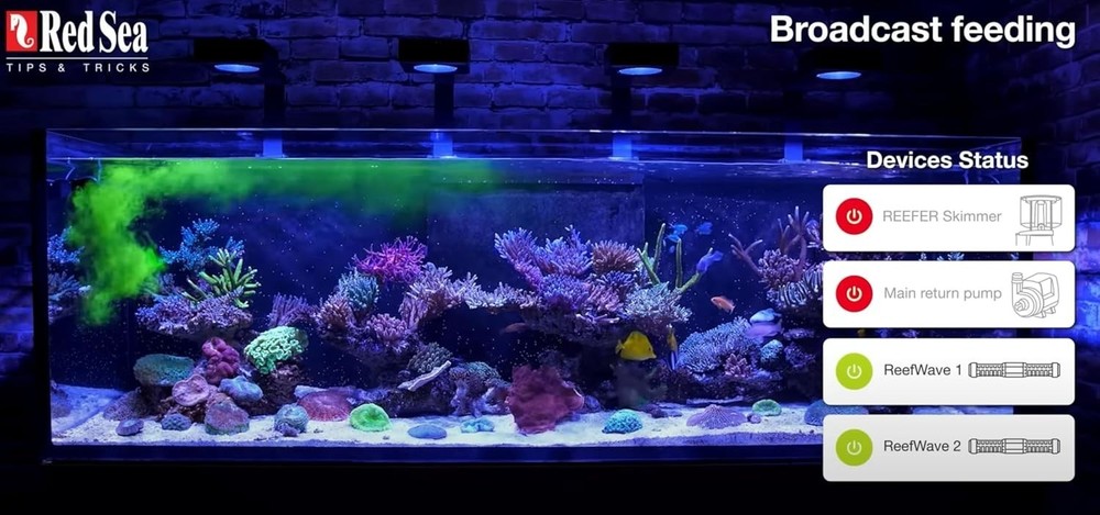 Complete Nutrition for Soft, LPS, SPS Corals