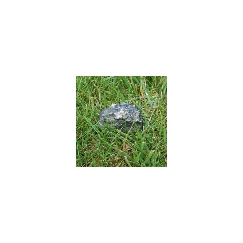 Hide-a-Key Fake Rock Geocaching Cache