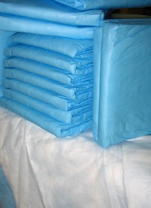 LIGHT 200 23x24 Dog Puppy Training Wee Wee Pee Pads Underpads