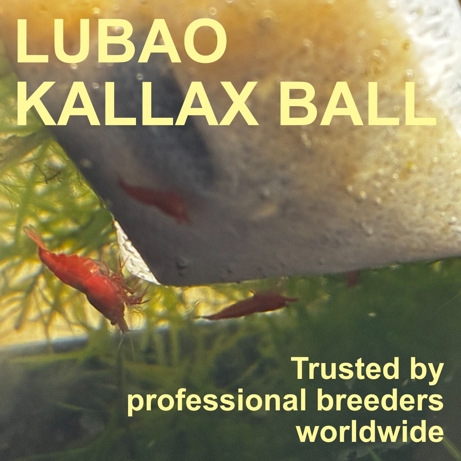 LUBAO Kallax ball | Premium biofilm growing bag for Breeding Aquarium Shrimp