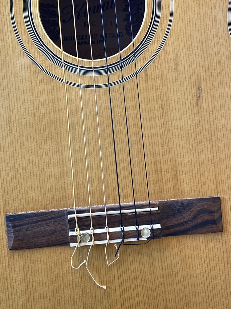 Acoustic Guitar…
