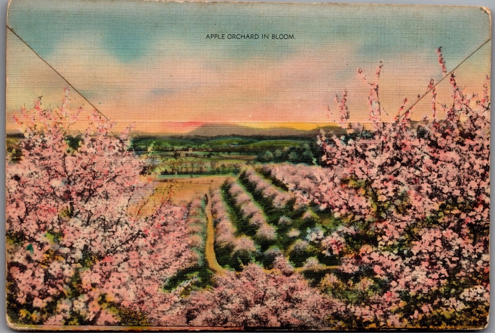 Postcard Folder Shendoah Valley Virginia
