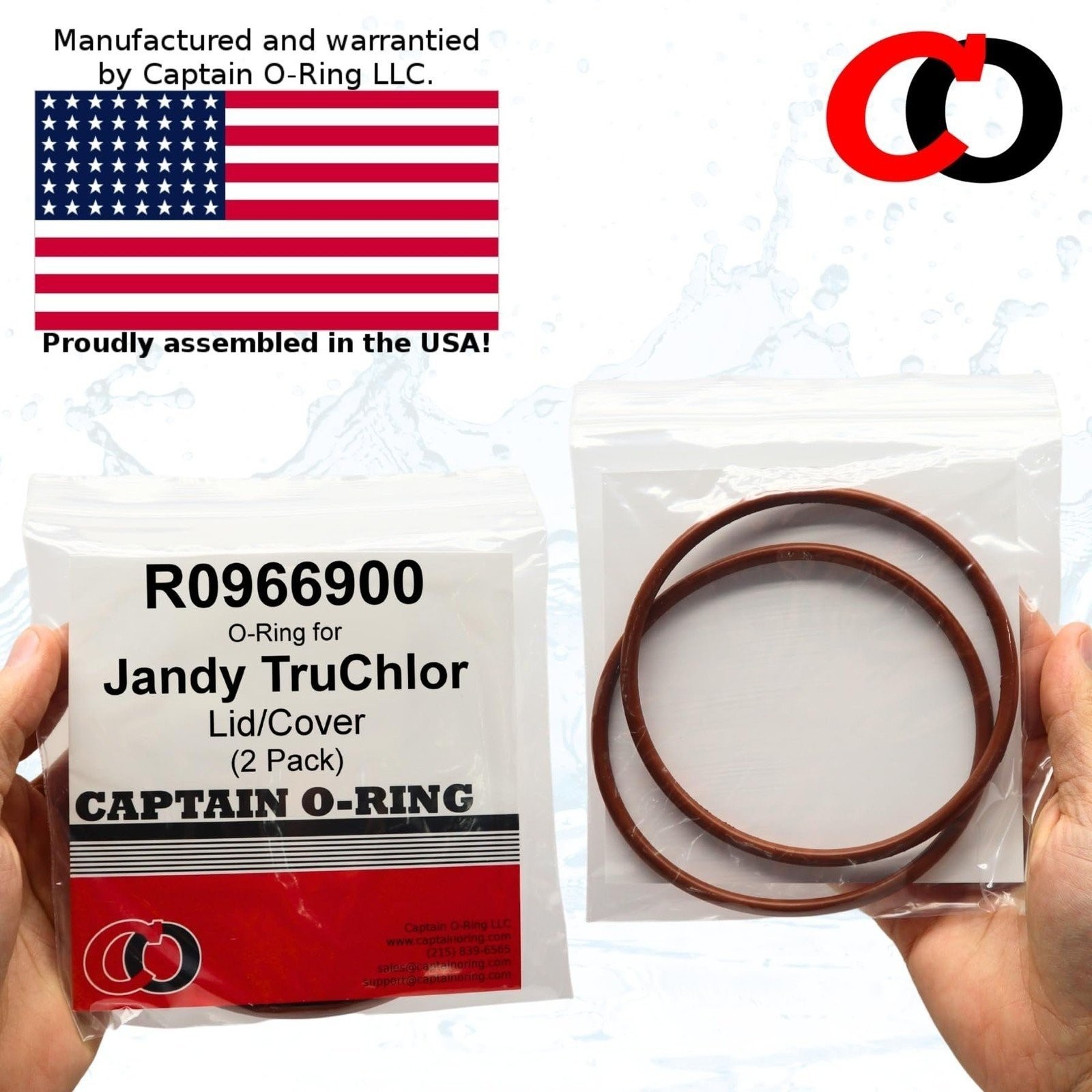 R0966900 O-Ring for Jandy TruChlor R0966800 Cover Lid (2 Pack)