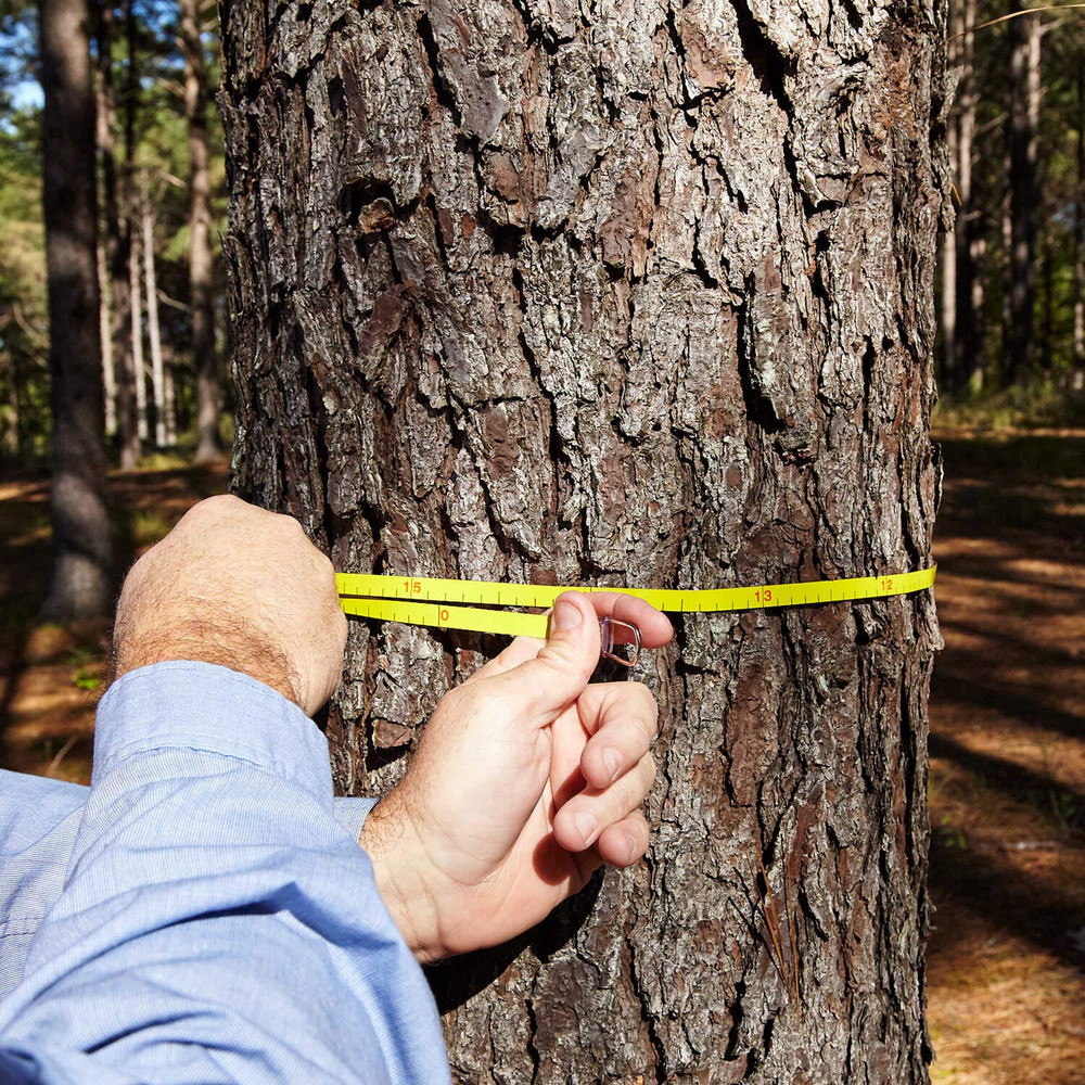 Logger's Tape 950DC - Precision Measuring Tool for Professionals