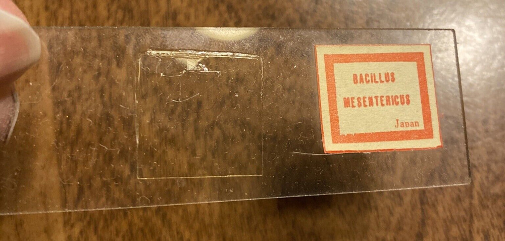 Milben Microscope 22/24 Prepared Slides Bacteria & Blood ***Missing 2 Slides***