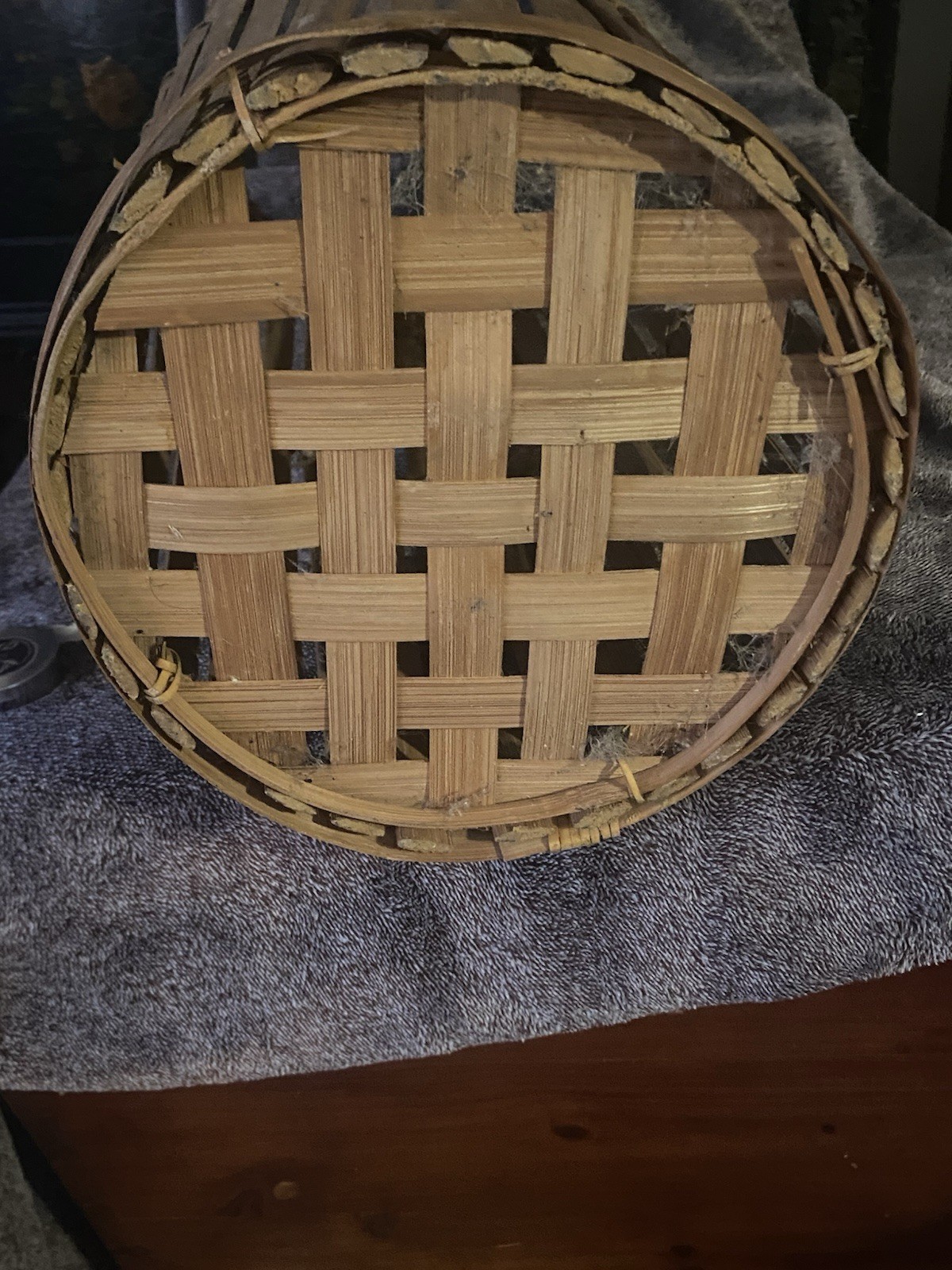 Vintage Rattan Bamboo Umbrella Stand Holder 20 Inches Tall 9 Inches Across