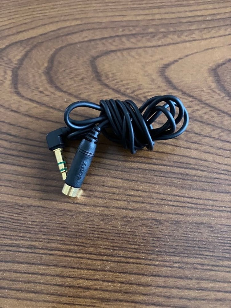 Sony Nw-Ms7 Walkman