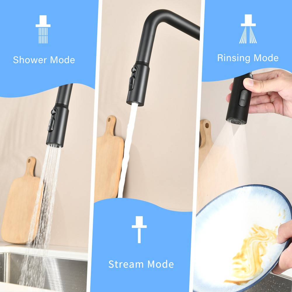 Professional 3 Function Kitchen Faucet Matte Black 360° Sprayer