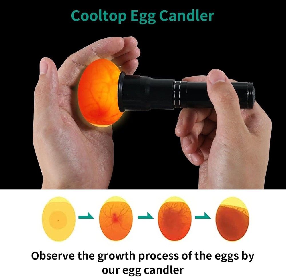 Shock-Proof Lightweight Egg Candler - Perfect for Observing Embryo Development