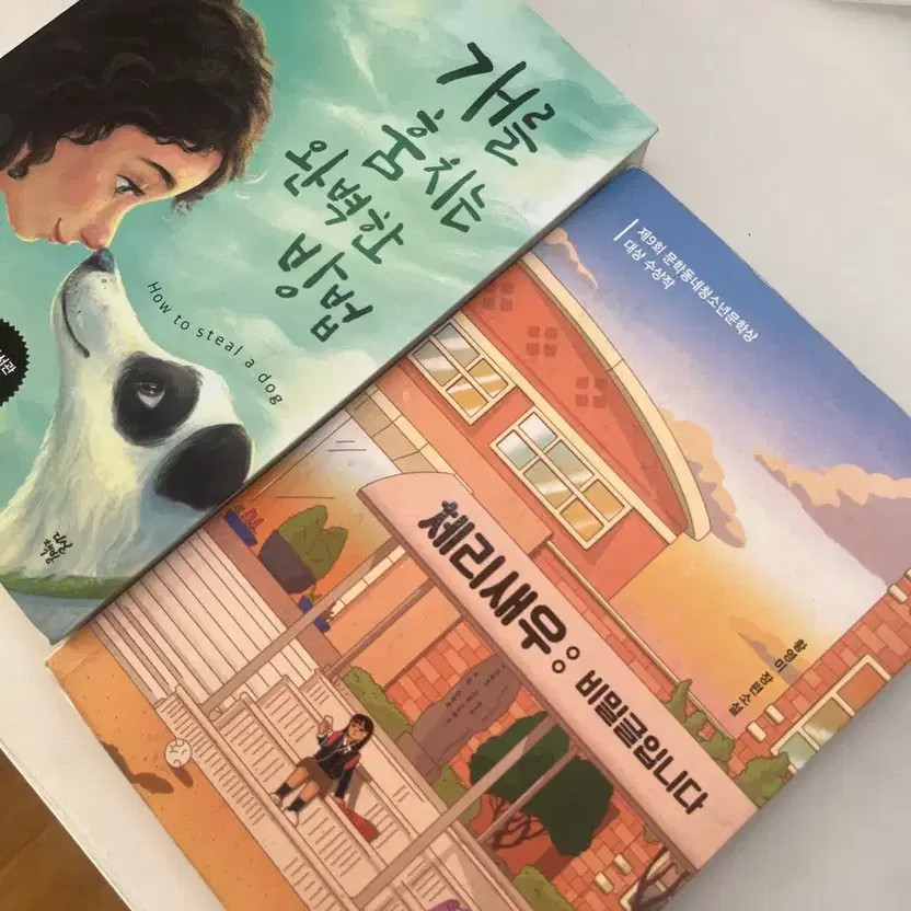 Used Teen Book Bundle - Self-Development, 2 Items