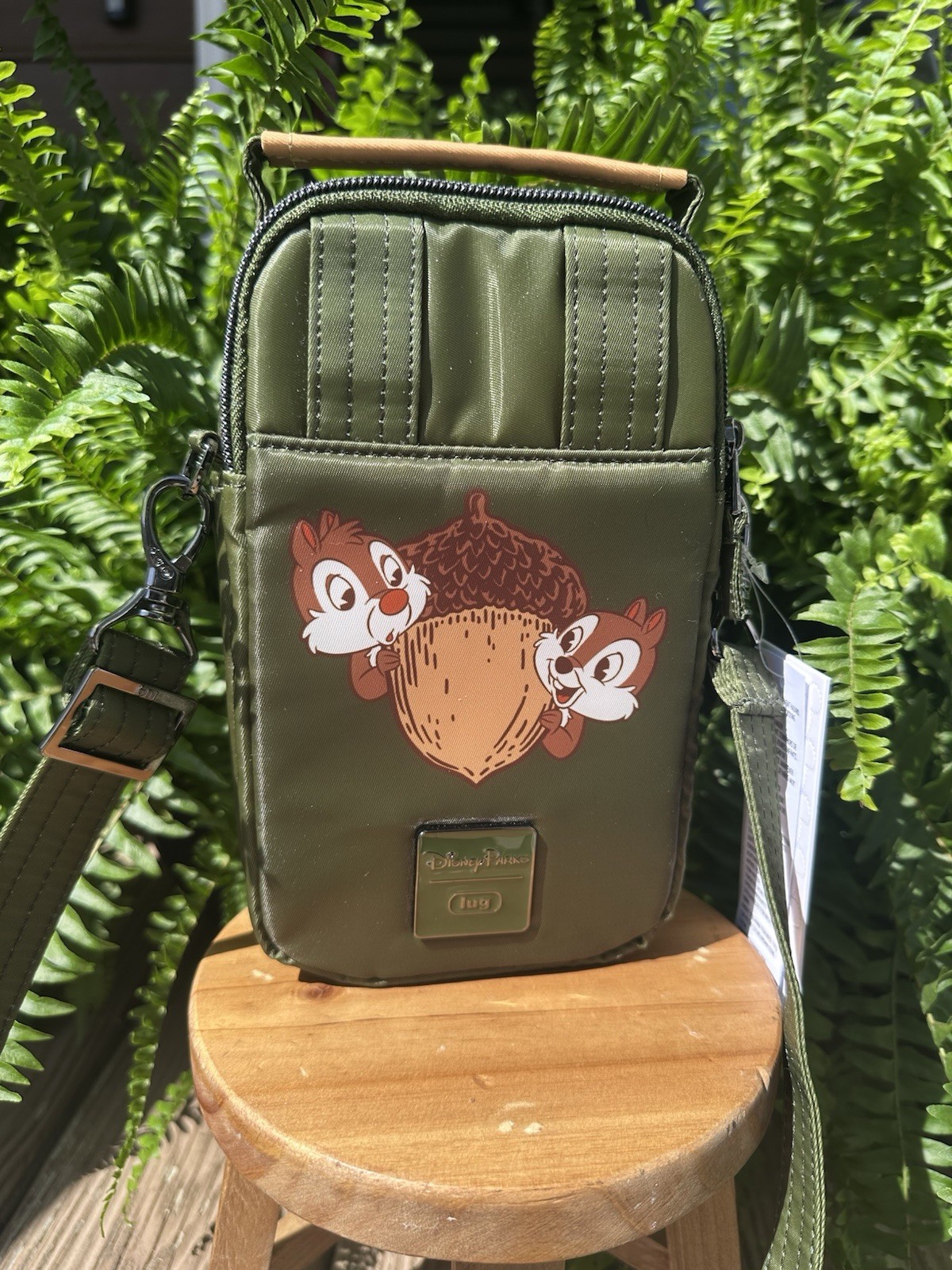 Chip & Dale Fort Wilderness Resort Lug Bag