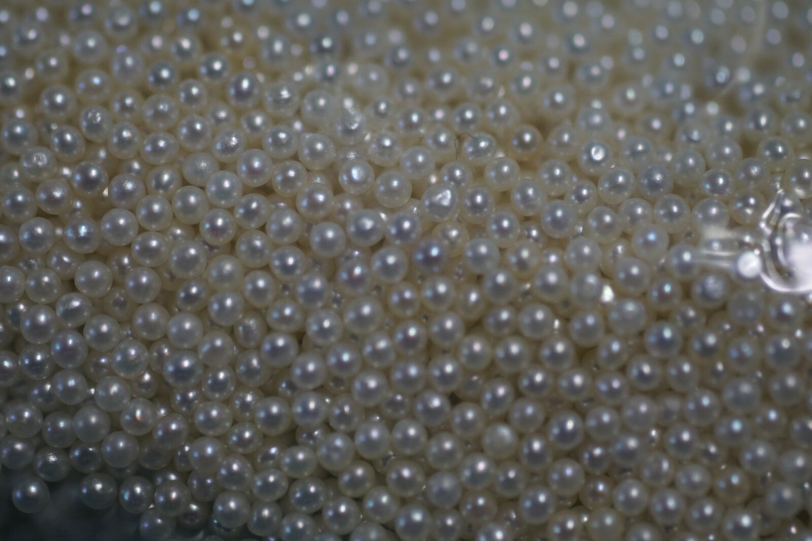 AAA 1.7-1.8mm Near Round Natural Tiny White Pearls No Hole Lot of 20 PCS