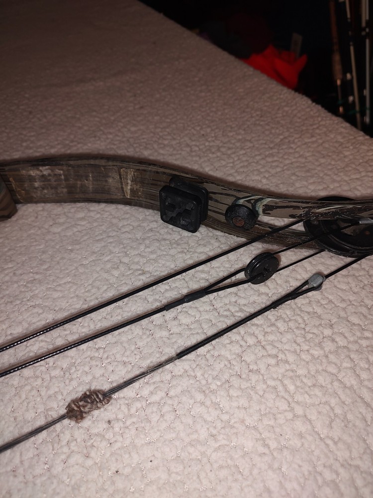 Golden Eagle Predator System Compound Bow
