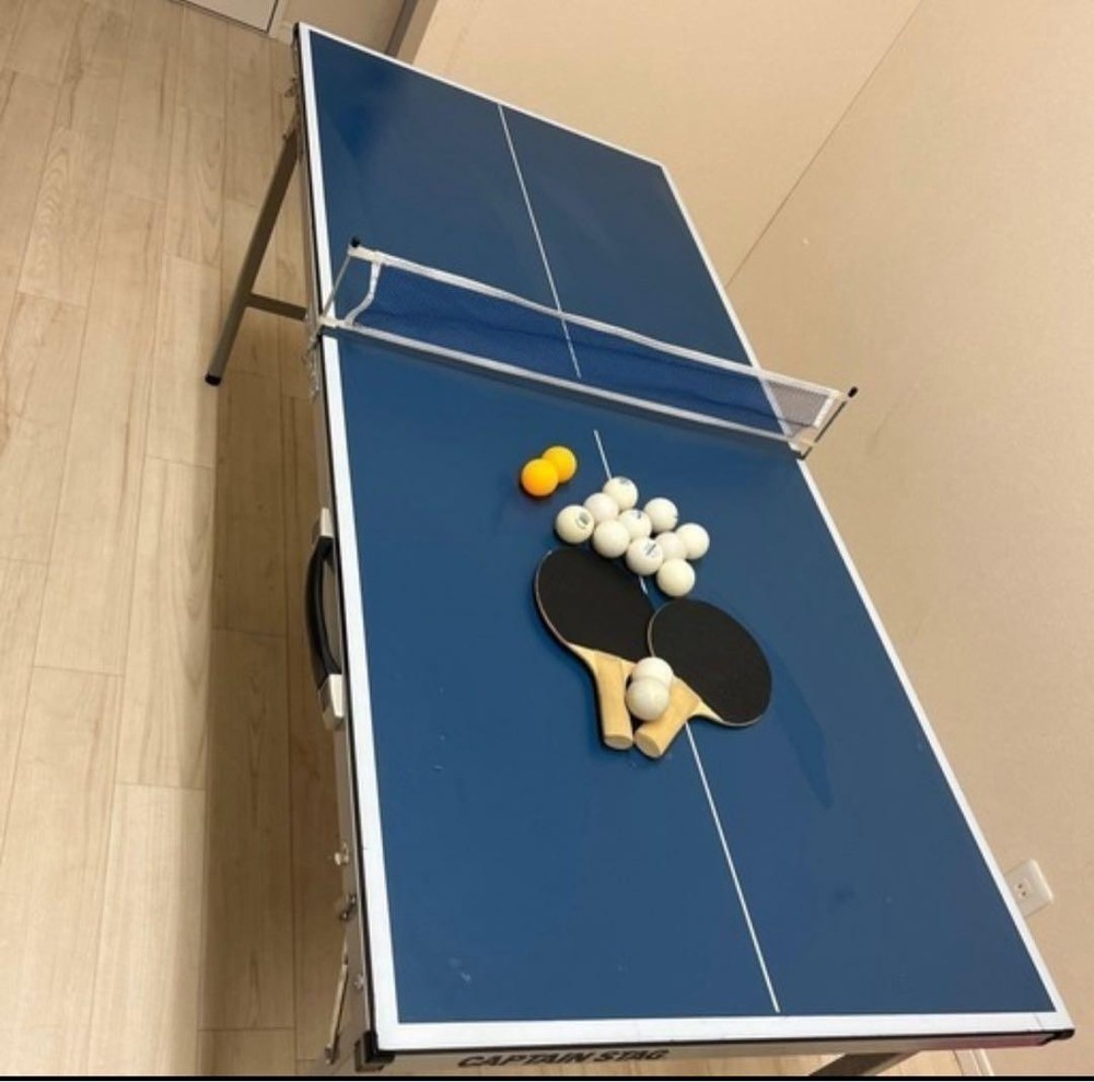 Home table tennis table and racket/ball set