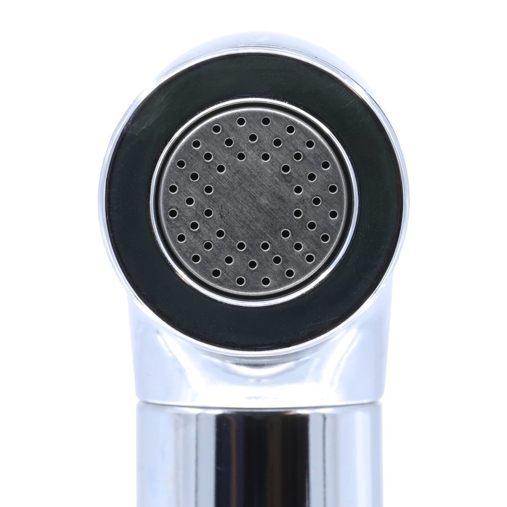 Danco 10330 Transitional Kitchen Sink Side Spray, Chrome