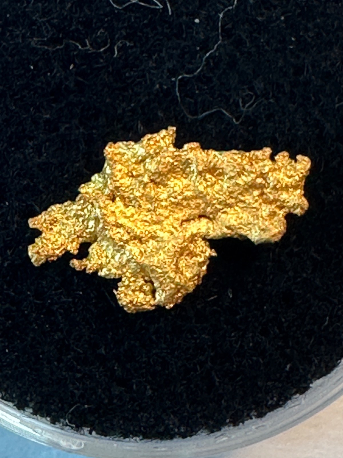 CALIFORNIA PLACER GOLD NUGGET = natural SPECIMEN. 1.0 gram