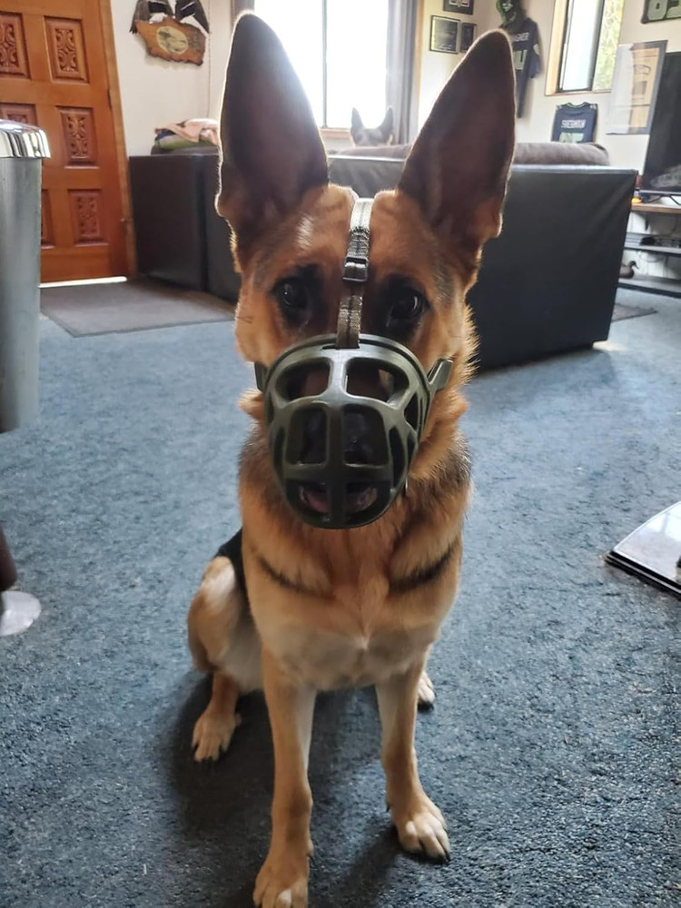 Dog Muzzle Basket Breathable Small Medium Large XL Dogs Stop Biting