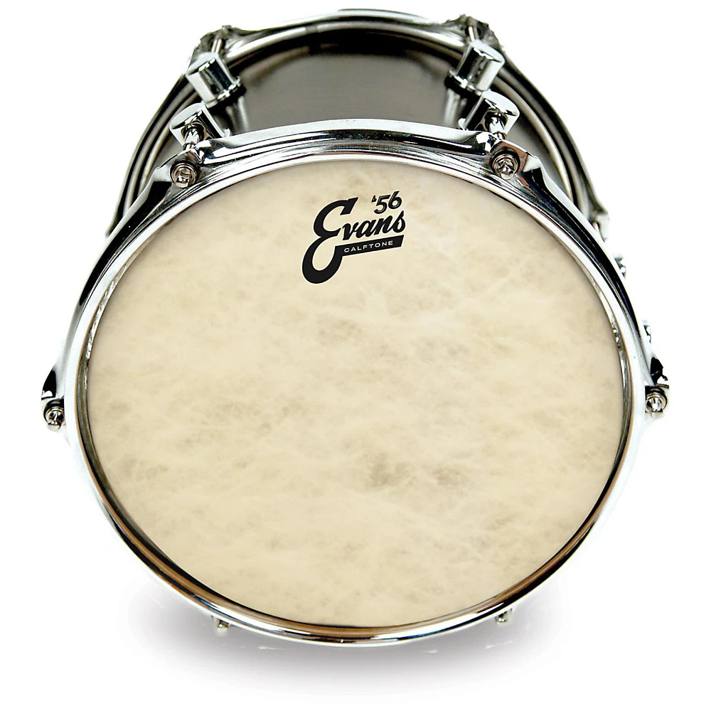 Evans Calftone Drumhead 12 in.