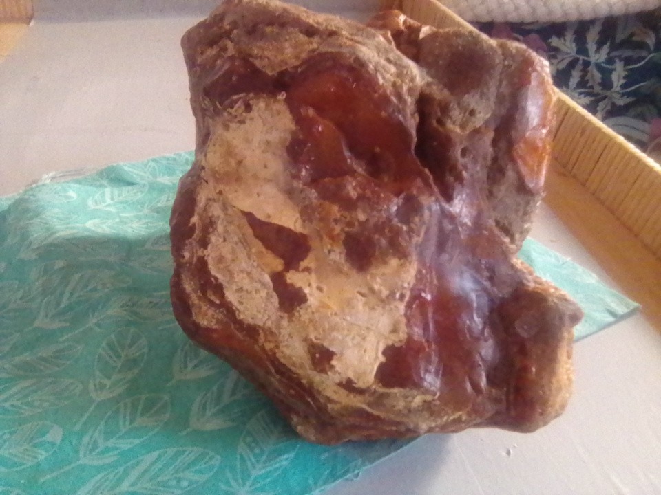 Petrified Wood