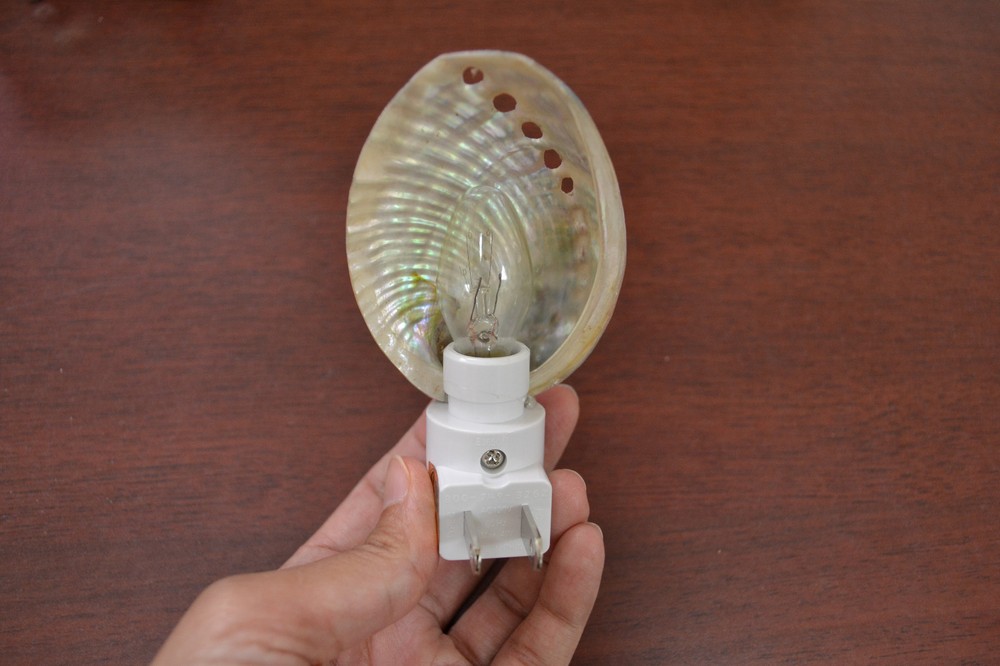 GREEN ABALONE SEA SHELL NIGHT LIGHT 7487