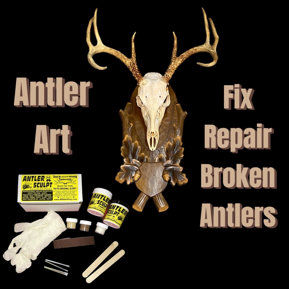 Deer Antler Art Kit - Repair - Replace Missing Tines & Points Create Lamps Trees