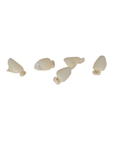 MARK3 #38 Polycarbonate Crown Form, 5/Bx. Upper Left Cuspid. Universal shade