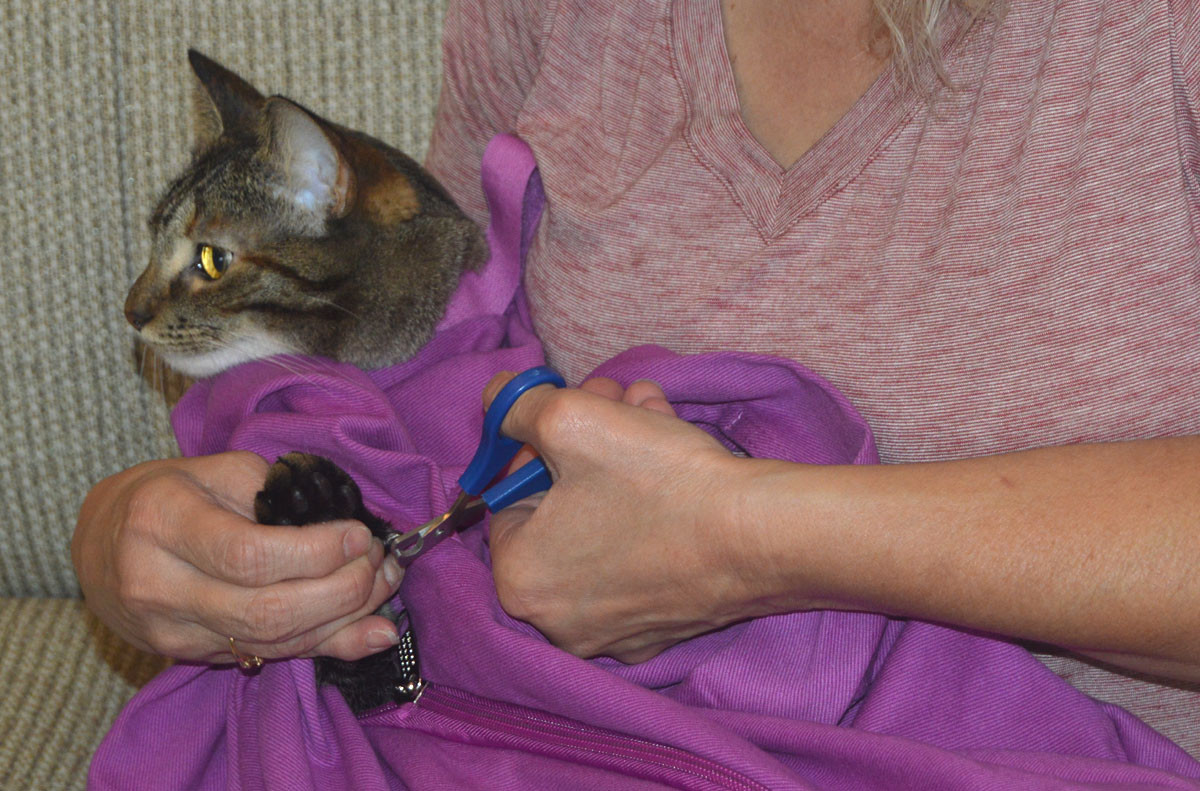 Cat-in-the-bag Cozy Comfort Carrier