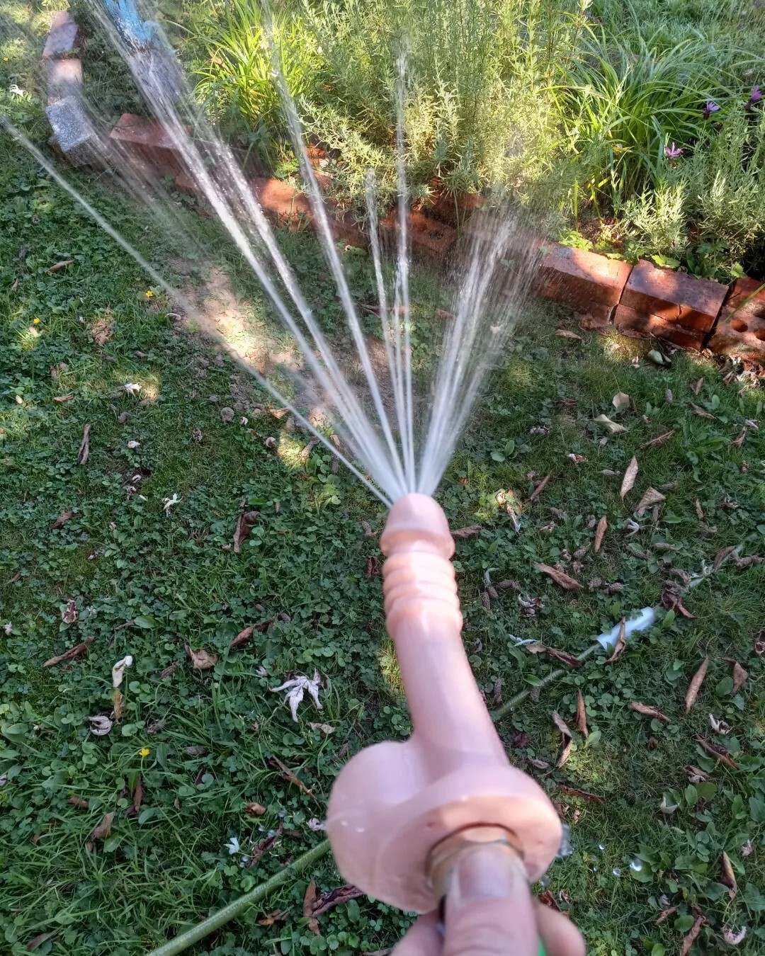 Prank Gift PENIS Garden Water Hose Spray Nozzle Dick Gag Novelty