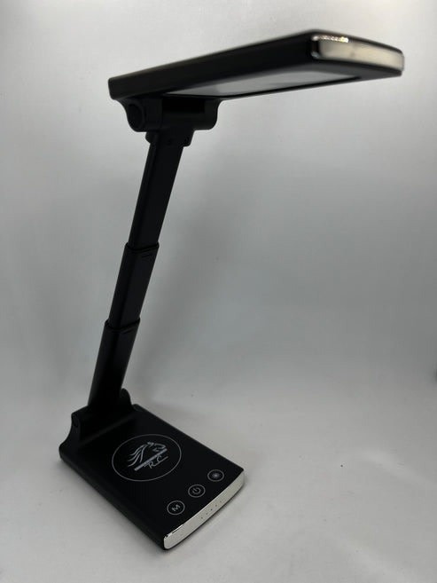 SHRC POCKET PIT LIGHT