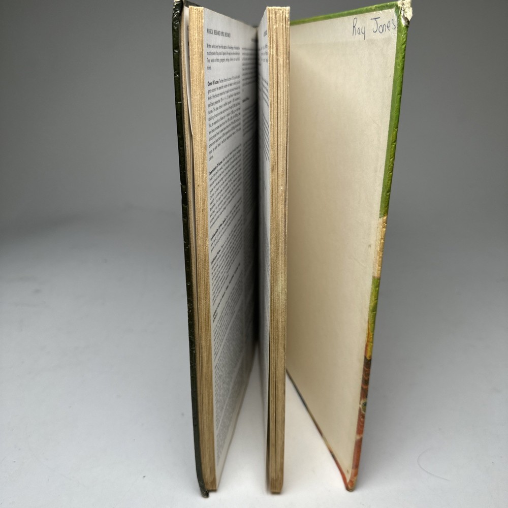 Dungeons & Dragons Advanced D&D Dungeon Master's Guide Revised Edition 1979