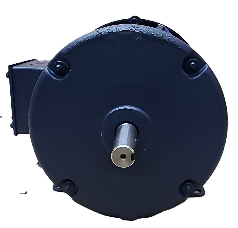 Leeson Electric Motor