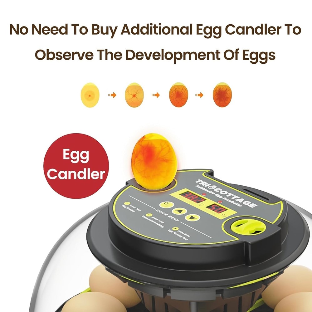 Incubators for Hatching Eggs 12 Egg Incubator with Automatic Egg Turning and ...