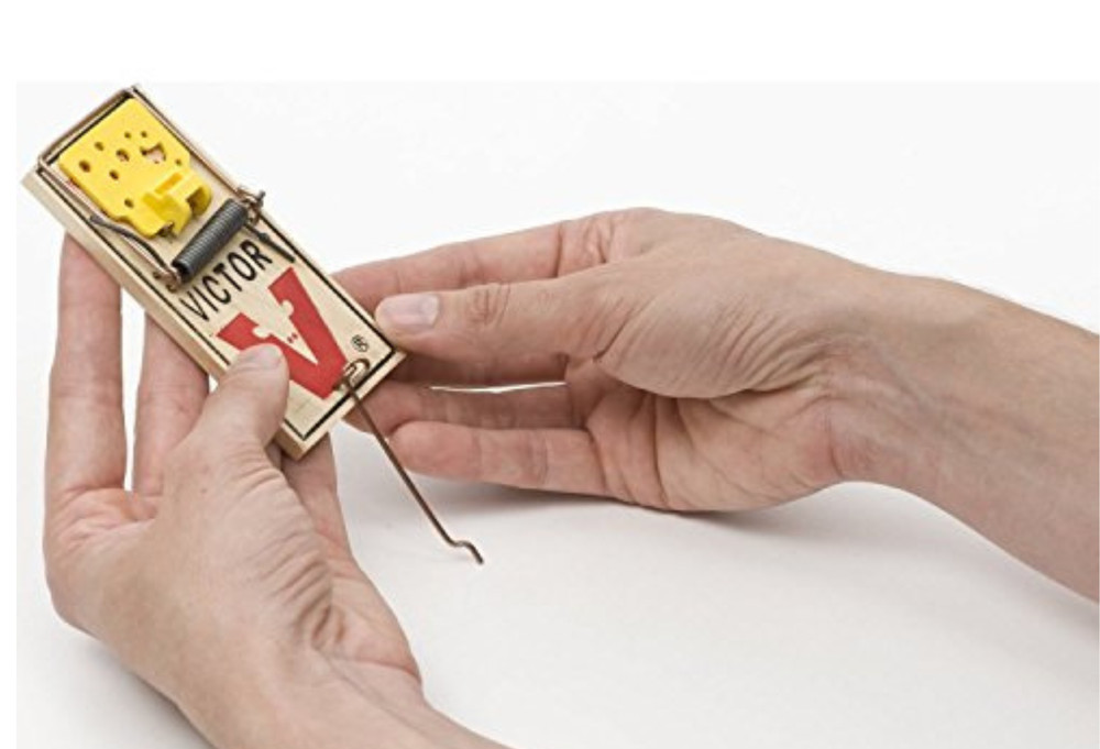 Victor Easy Set Wood/Plastic Mouse Trap 8-Count