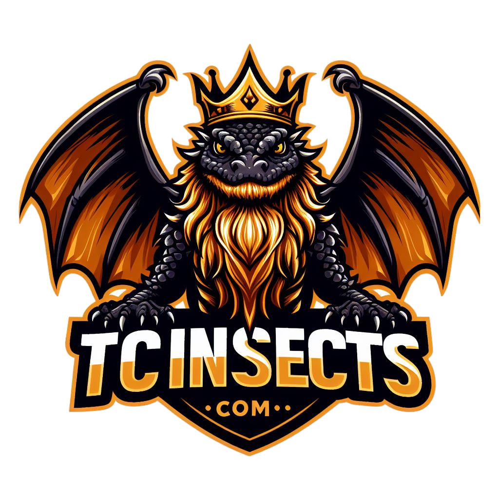 Combo Deal | 100+ Party Mix Isopods And 8oz Springtails | FREE SHIPPING!!