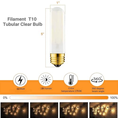 40 Watt T10 Clear Tubular Incandescent Light Bulb, Vintage Style Misty-white-60