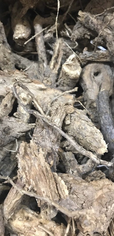 Raiz de Choya 4oz