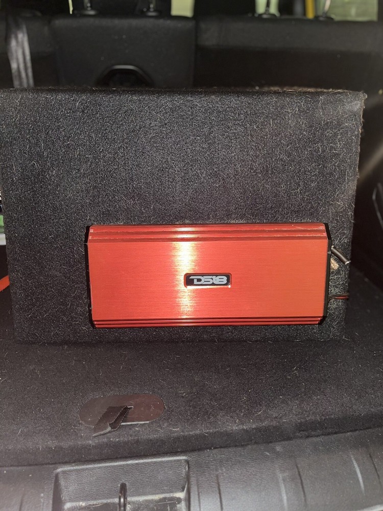 Speaker and Amp DS18