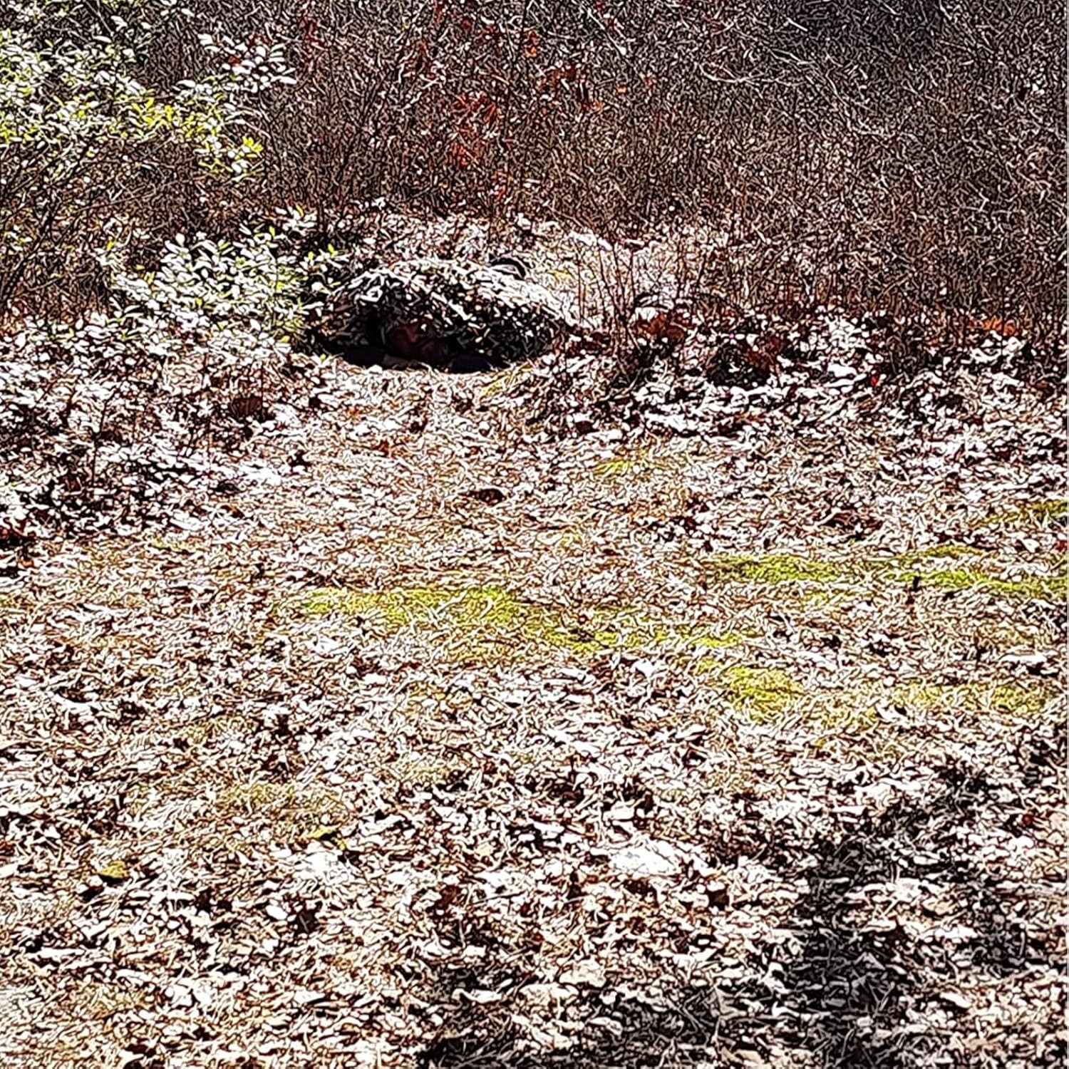 Camo Netting, Camouflage Net Blinds Great for Sunshade Camping Shooting Hunting